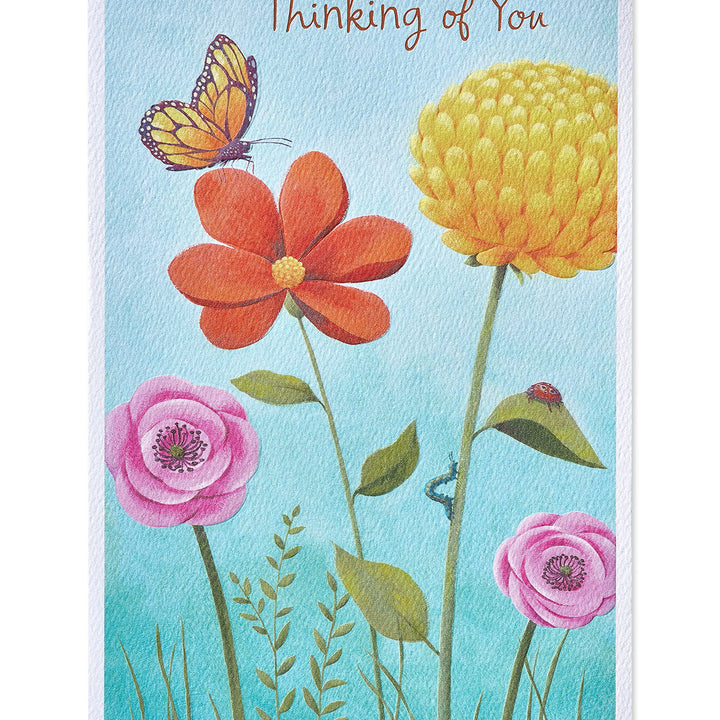 American Greetings Thinking of You Card (Brighten Up Your Day) Brighten Up Your Day