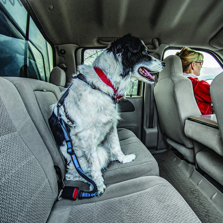 Kurgo Dog Seatbelt Car Seat Belt for Pets Adjustable Dog Safety Belt Leash Quick & Easy Installation Works with Any Pet Harness Carabiner Clip Direct to Seatbelt Bungee Tether Blue 1 Pack