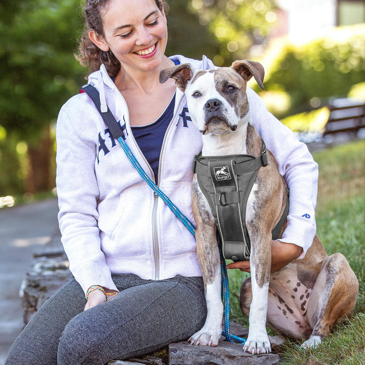 Kurgo Dog Harness | Pet Walking Harness | No Pull Harness Front Clip Feature for Training Included | Car Seat Belt | Tru-Fit Quick Release Style | Medium | Grey