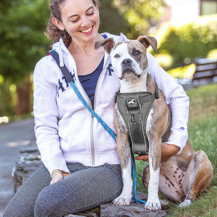 Kurgo Tru-Fit Quick Release Dog Harness - Durable, Everyday Harness for Dogs - Hiking, Walking, Running - Reflective, Quick Release Buckles - Includes Pet Seatbelt - No Pull Training - Gray, XL Grey X-Large