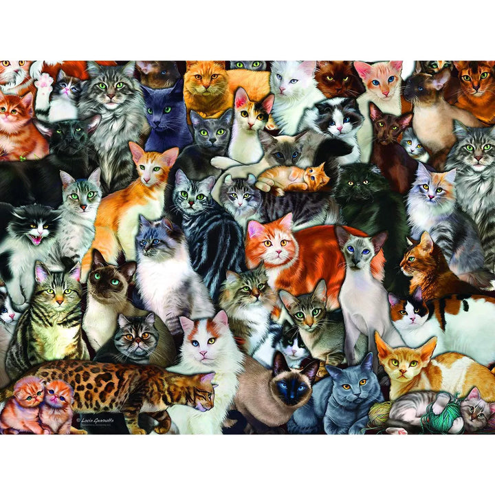 Sunsout Cat Collage 300 Pc Jigsaw Puzzle 60934