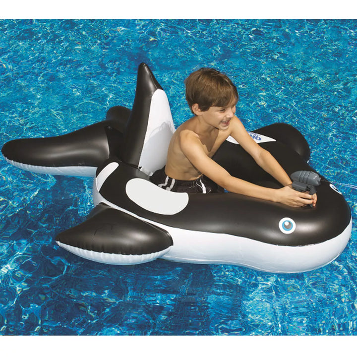 Swim Central 60" Inflatable Black and White Orca Whale Squirter Swimming Pool Float