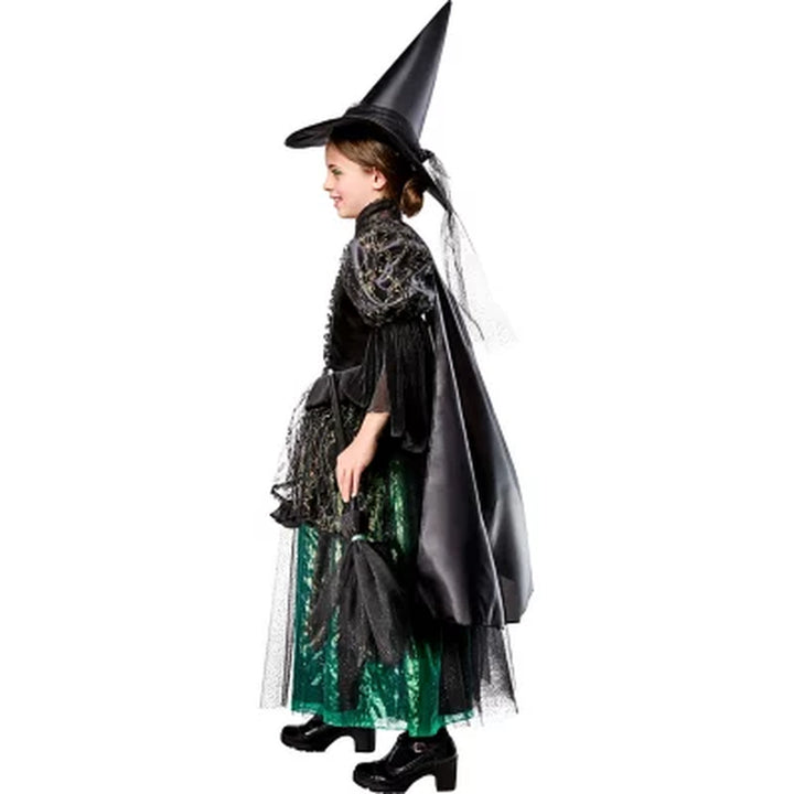 Wizard of Oz Wicked Witch Kids Premium Costume