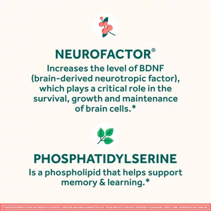Neuriva Original BRAIN Health Supplement, Memory & Focus Support Capsules, 45 Ct.