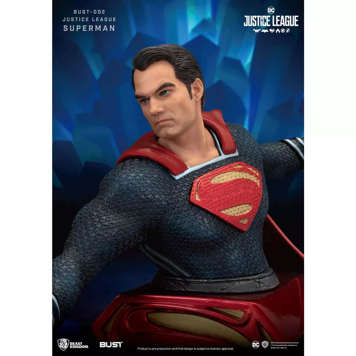 Warner Bros Justice League Series-Superman (Bust)