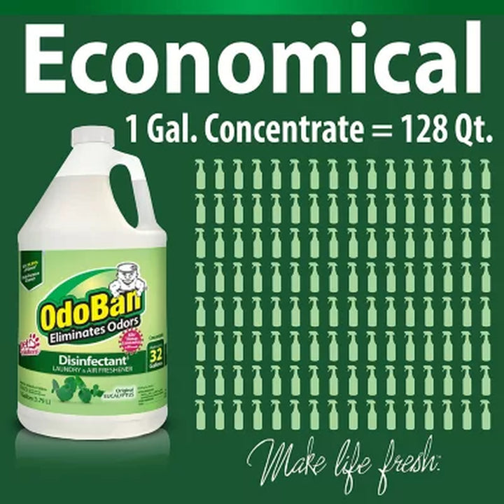 Odoban Odor Eliminator and Disinfectant Concentrate, 4 Pk. (Choose Your Scent)