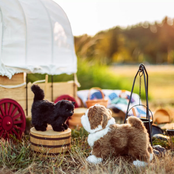 The Queen'S Treasures Little House on the Prairie Black Cat for 18 in Dolls