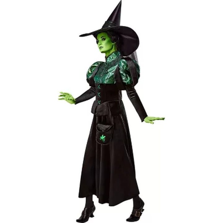 Wizard of Oz Wicked Witch Adult Premium Costume