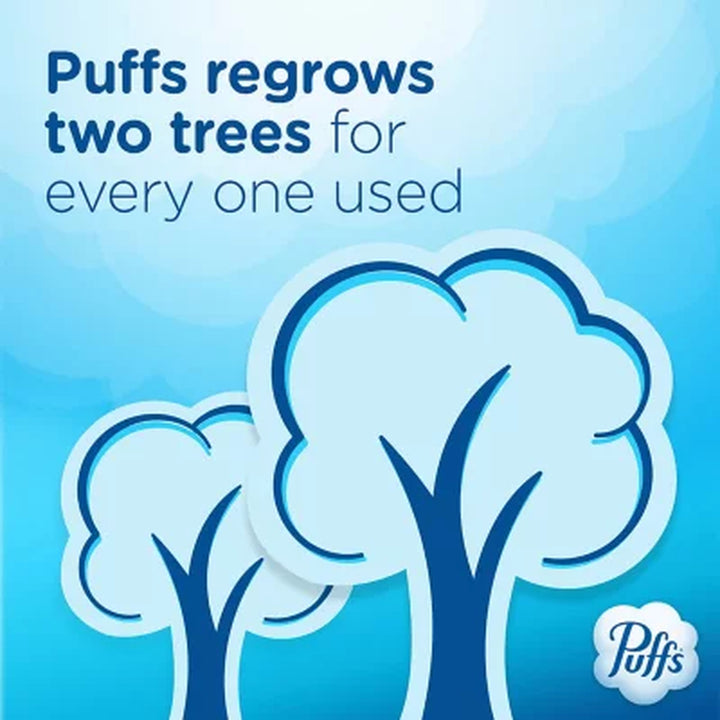 Puffs plus Lotion 2-Ply Facial Tissues, Cube Boxes 72 Tissues/Box, 12 Boxes