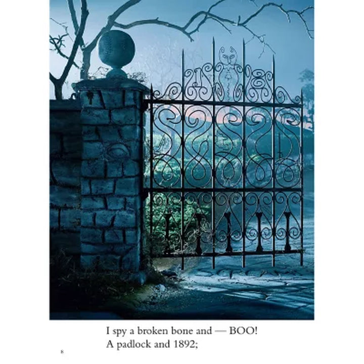 I Spy: Spooky Night, Hardcover