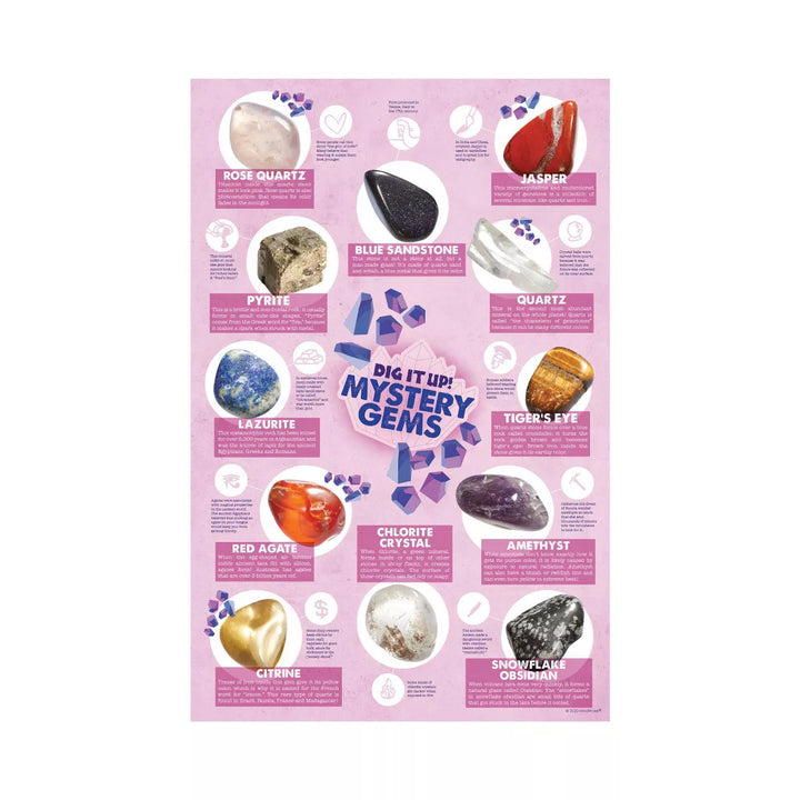 Dig It Up! Mystery Gems Science Kit