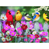 Sunsout Songbirds and Cosmos 500 Pc Jigsaw Puzzle 30448