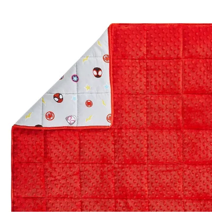 Spidey and Friends Nap Mat with Removable Blanket