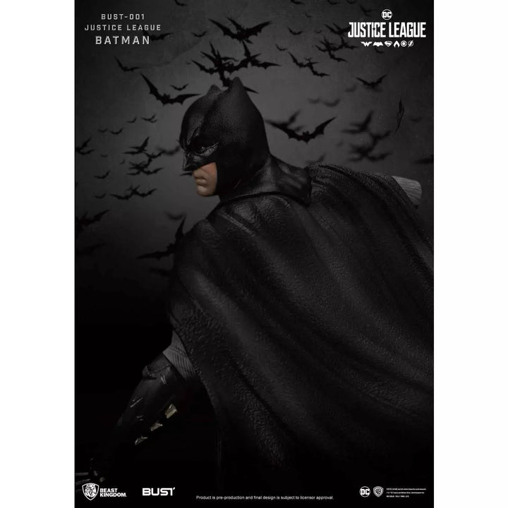 Warner Bros Justice League Series-Batman (Bust)