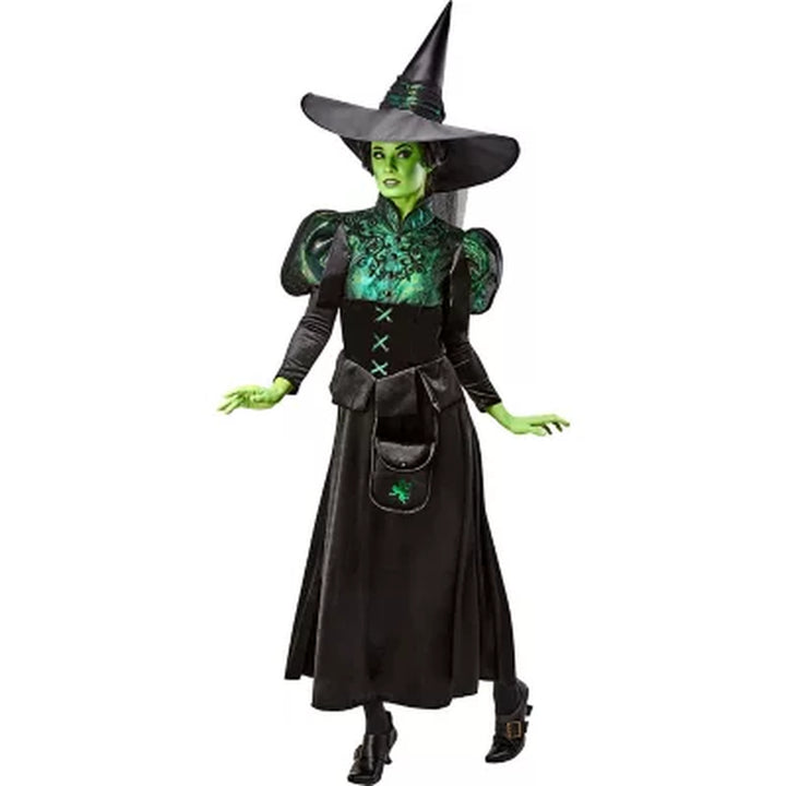 Wizard of Oz Wicked Witch Adult Premium Costume