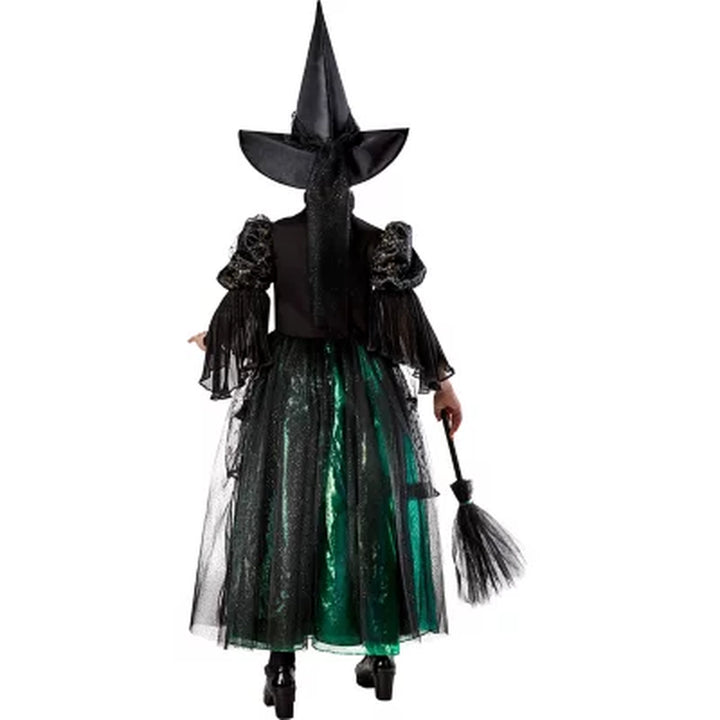 Wizard of Oz Wicked Witch Kids Premium Costume