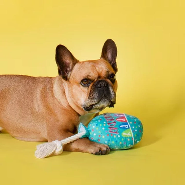 Let'S Pawty Birthday Box Dog Toy Bundle, 5-Piece Set White