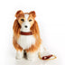 The Queen'S Treasures 18 in Doll Collie Puppy Dog with Leash and Collar